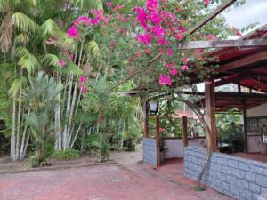 Ambiente do Coisas da Chácara em Manacapuru