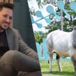 Grupo Monte Sião se prepara para lançamento de genética bovina e já destaca Touro Sião 02