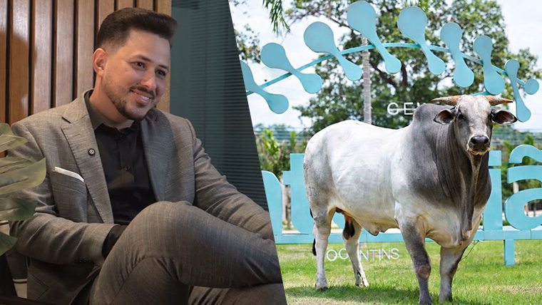Grupo Monte Sião se prepara para lançamento de genética bovina e já destaca Touro Sião 02