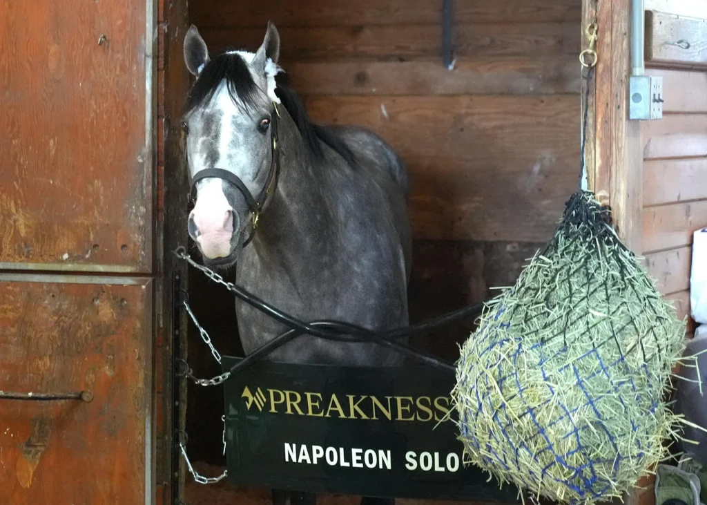 Napoleon Solo vence o Preakness Stakes de 2026 e conquista a segunda etapa da Tríplice Coroa