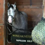 Napoleon Solo vence o Preakness Stakes de 2026 e conquista a segunda etapa da Tríplice Coroa