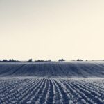Primeiro sistema de gestão empresarial do mundo desenvolvido para cooperativas do agro é lançado no Brasil